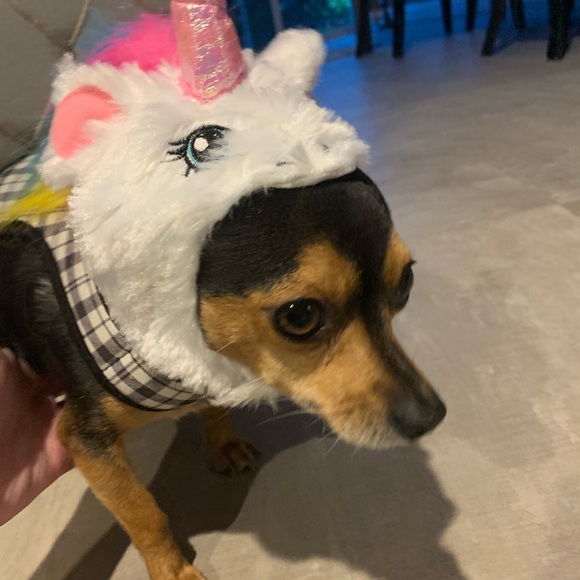 Posh Ambassador 🛍Buyer, Seller, & Stylist - Picture 11 of 12